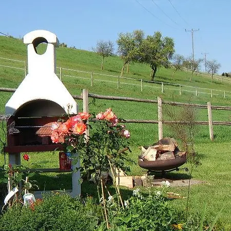 Haus Cristallo 아파트 *