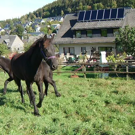 아파트 Haus Cristallo