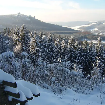 Haus Cristallo 아파트