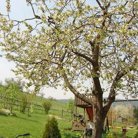 Haus Cristallo 아파트