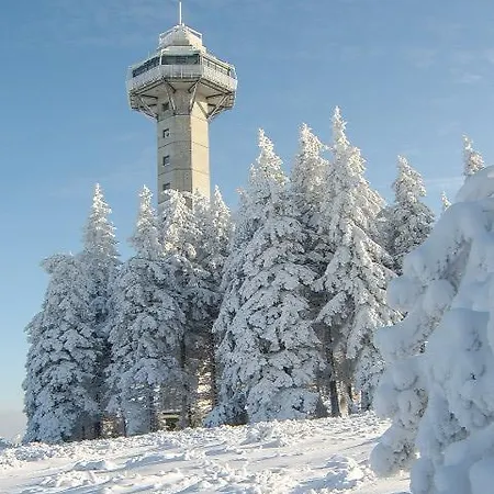 Haus Cristallo 아파트 *