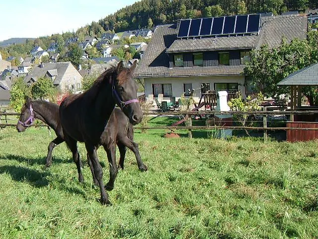 Apartamento Haus Cristallo