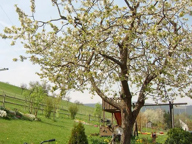 Haus Cristallo Apartamento